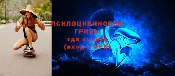 шишки Балабаново