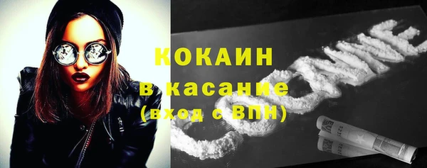 дживик Сатка