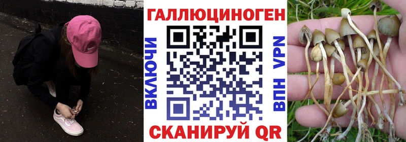 Псилоцибиновые грибы GOLDEN TEACHER  Заполярный 