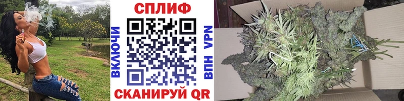 даркнет сайт  Заполярный  Бошки Шишки гибрид 
